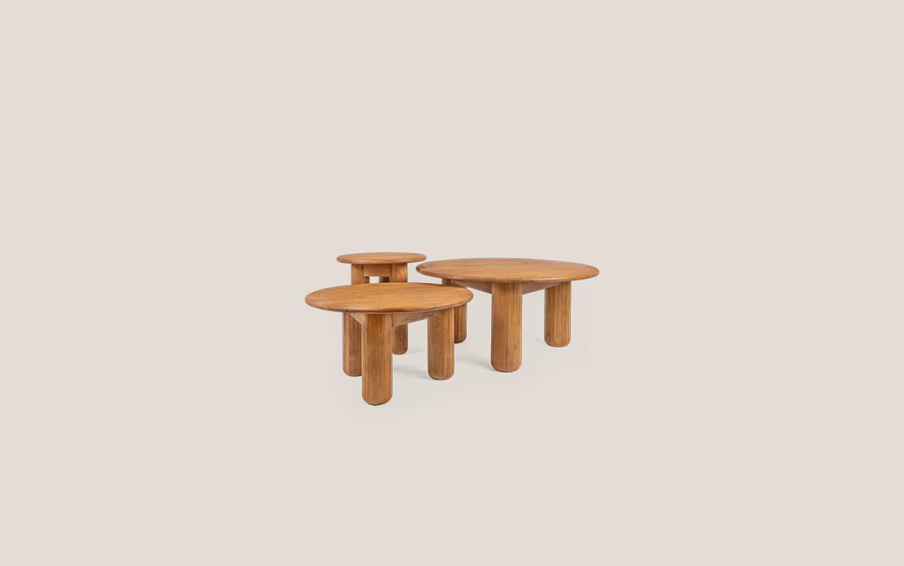 Dino Coffee Table Set of 3
