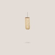 Tub Hanging Lamp